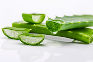 What are the Top 10 Benefits and Uses of Aloe Vera?