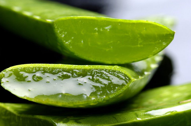 What is Aloe Vera and How does it Work?
